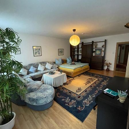 Schoene Ferienwohnung In Bahnhofsnaehe Fuer Urlaub, Studium Oder Arbeit Deggendorf Zewnętrze zdjęcie