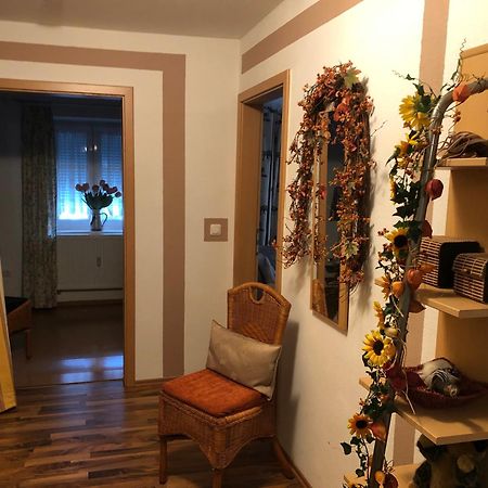 Schoene Ferienwohnung In Bahnhofsnaehe Fuer Urlaub, Studium Oder Arbeit Deggendorf Zewnętrze zdjęcie