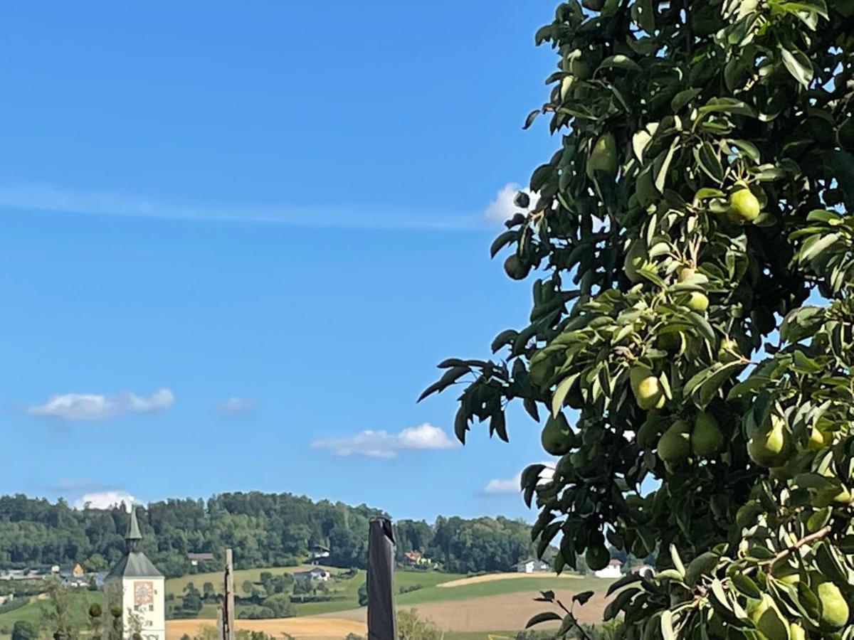 Schoene Ferienwohnung In Bahnhofsnaehe Fuer Urlaub, Studium Oder Arbeit Deggendorf Zewnętrze zdjęcie