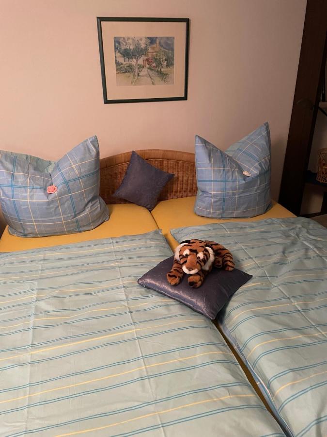 Schoene Ferienwohnung In Bahnhofsnaehe Fuer Urlaub, Studium Oder Arbeit Deggendorf Zewnętrze zdjęcie